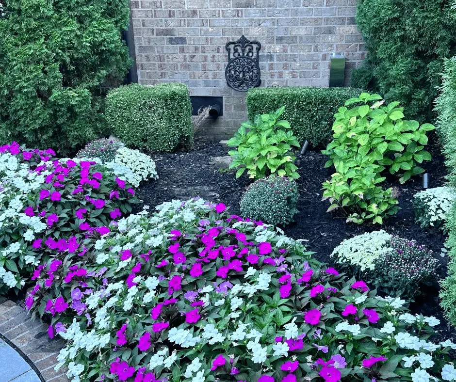 Flower beds with shrubs and perennials 